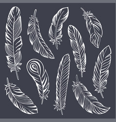 Indian feather set hand drawn Royalty Free Vector Image