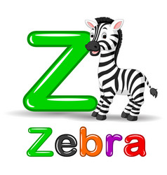 Cute zebra cartoon Royalty Free Vector Image - VectorStock