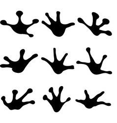 Frog Footprint Vector Images (over 490)