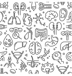 Human organs seamless pattern Royalty Free Vector Image
