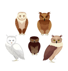 Six cute Owls Royalty Free Vector Image - VectorStock