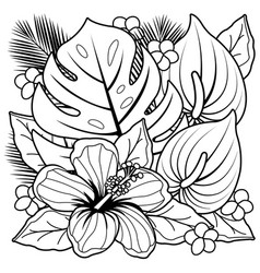 Hibiscus Vector Images (over 20,000)