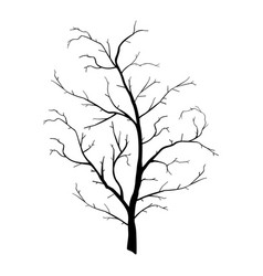 Outline Tree Trunk Vector Images Over 4 300