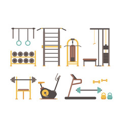 Gym equipment Royalty Free Vector Image - VectorStock