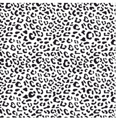 Seamless black and white leopard pattern Vector Image