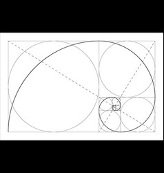 Fibonacci sequence circles golden ratio Royalty Free Vector