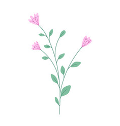 Collection pink flowers and leaves vintage style Vector Image