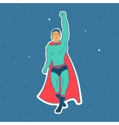Hero Fly Royalty Free Vector Image - VectorStock