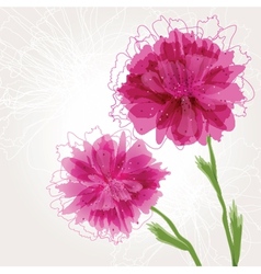 Violet peony flower Royalty Free Vector Image - VectorStock