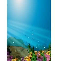 Background scene with coral reef underwater vector image