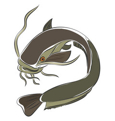 Catfish Vector Images (over 870)