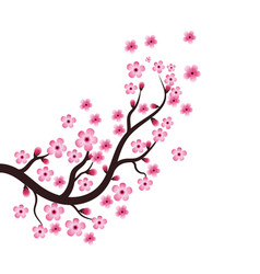 Sakura beauty flower icon Royalty Free Vector Image