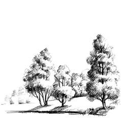 Featured image of post Best Pencil Sketches Of Nature / Pencil sketches are an essential part of the creative process.