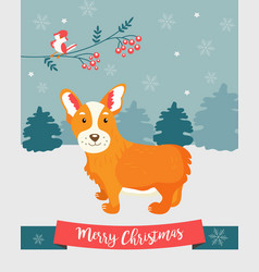 holiday greeting card with cute corgi dog vector image