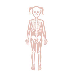 Children Boy And Girl Skeleton Anatomy Royalty Free Vector