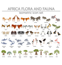 Flat 3d isometric africa flora and fauna map Vector Image