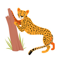 Animated Jaguar Standing Vector Images 92
