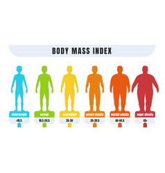 Man body mass index info chart male silhouette Vector Image