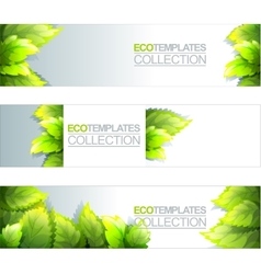 Eco banners template with green leaves Royalty Free Vector