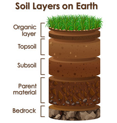 Different soil layers on earth Royalty Free Vector Image