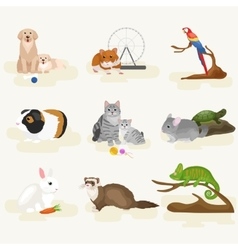 Home pets set cat dog parrot goldfish hamster Vector Image