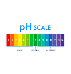 Chart ph alkaline and acidic scale Royalty Free Vector Image