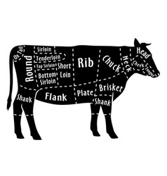 Beef cuts diagram and butchery design elements Vector Image