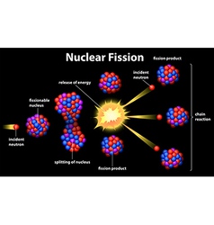 Nuclear fission Royalty Free Vector Image - VectorStock