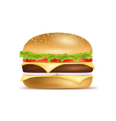 Sandwich burger hamburger ingredients structure Vector Image