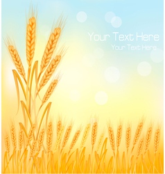 Field of wheat landscape background Royalty Free Vector