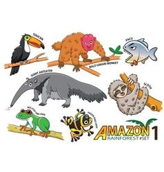 Set of Cute cartoon Animals and birds in the Amazo