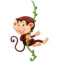 little monkey climbing frame