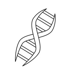 Dna human genetic Royalty Free Vector Image - VectorStock