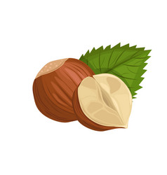 Hazelnut with half icon healthy eating cartoon Vector Image