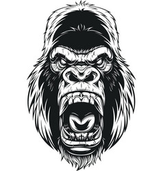 Ferocious gorilla head Royalty Free Vector Image