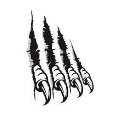 Bird Claw Vector Images (over 6,600)