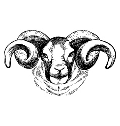 Male Sheep Vector Images Over 1 100 Male Sheep Vector Images Over 1 100