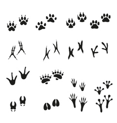 Wildlife animals footprints Royalty Free Vector Image