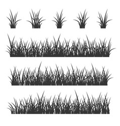 Green grass borders set on white background Vector Image