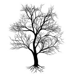 Tree Royalty Free Vector Image - VectorStock