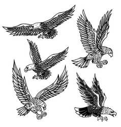 Cartoon eagles collection set Royalty Free Vector Image