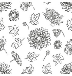 Chrysanthemum Vector Images (over 5,100)