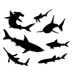 Sharks Vector Images (over 10,000)