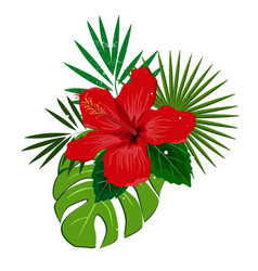 Bouquet composition with red hibiscus flower and Vector Image