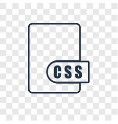 Css concept linear icon isolated on transparent Vector Image