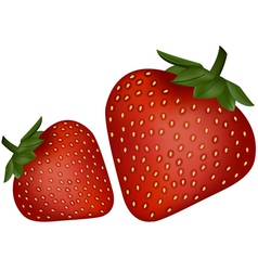 Strawberries Royalty Free Vector Image - VectorStock