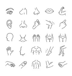 Human body parts icons plastic face surgery Vector Image