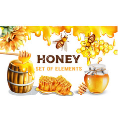 Honeycomb with wooden dipper and yellow berries Vector Image