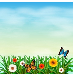 A garden with fresh blooming flowers a butterfly Vector Image