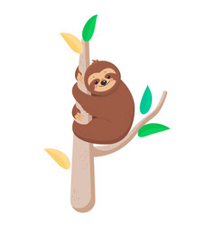 Joyful cute cartoon sloth hanging on a branch Vector Image